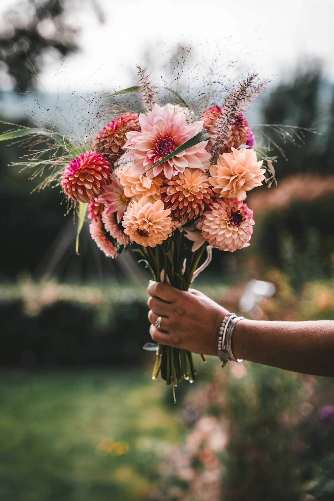Bouquet de dahlias roses tenu à la main devant un jardin